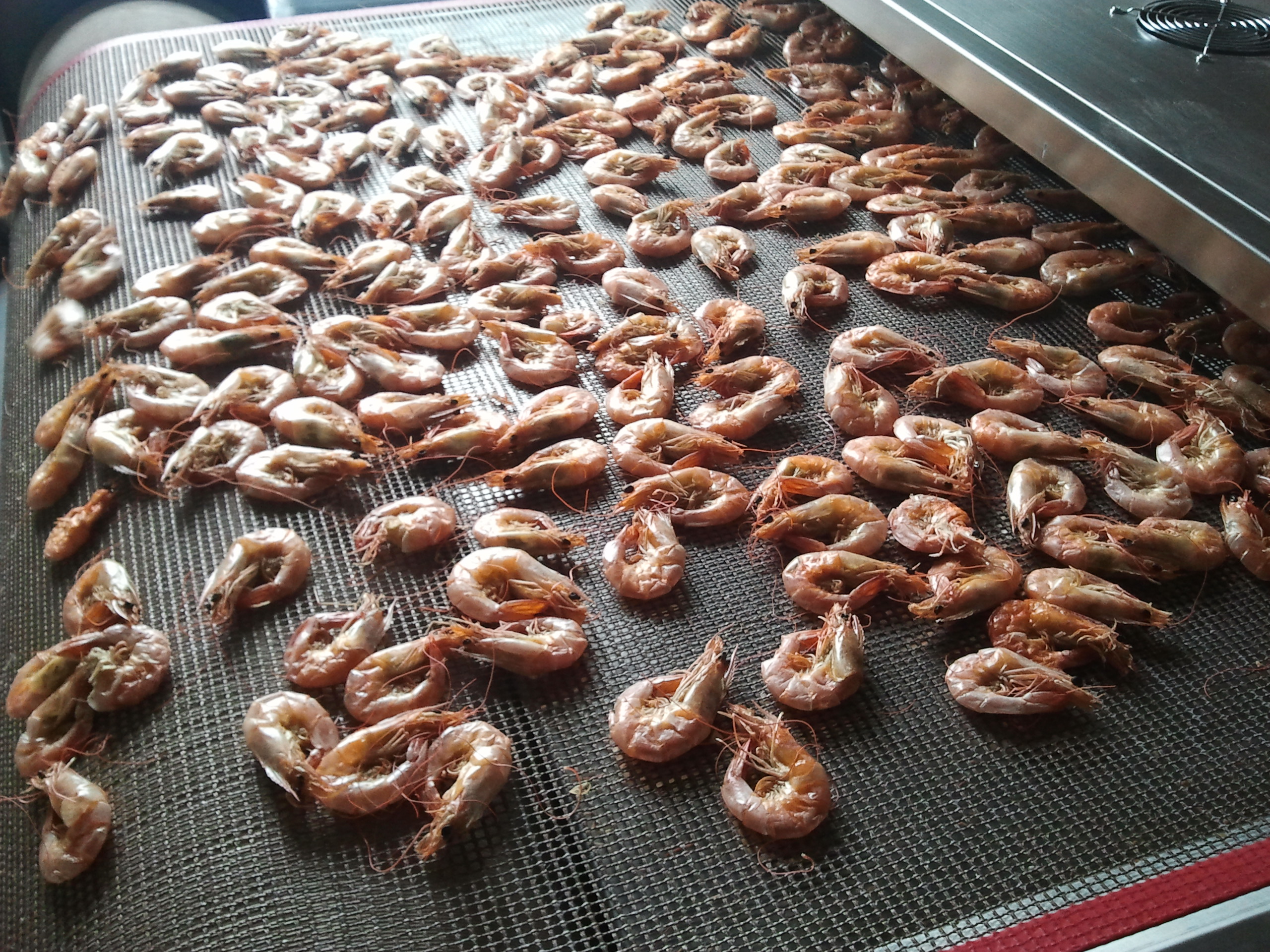 南美白對蝦微波烘烤設(shè)備